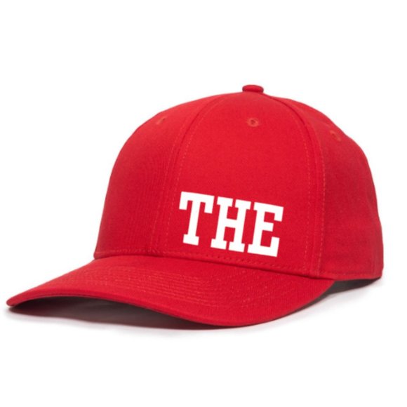 THE Ohio (Ohio Colors) Premium Flex Fit / Fitted Solid Back Hat - Picture 1 of 12